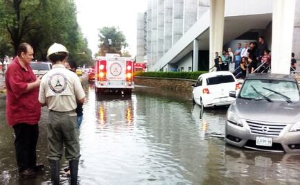 Reportan inundaciones y árboles caídos por lluvias en Guadalajara 