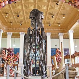 El Museo de Geología recibe arte contemporáneo con Earth-Body 