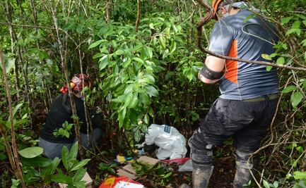 Hallan osamentas humanas en ejido colindante con Cancún