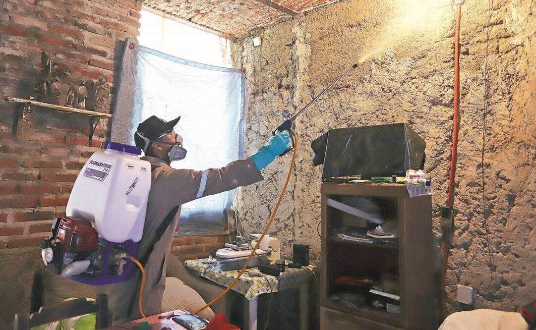 En Jalisco se realizan acciones para mostrar a la población cómo detectar y eliminar sitios potenciales para la supervivencia del mosquito del dengue. Foto: ARCHIVO EL UNIVERSAL