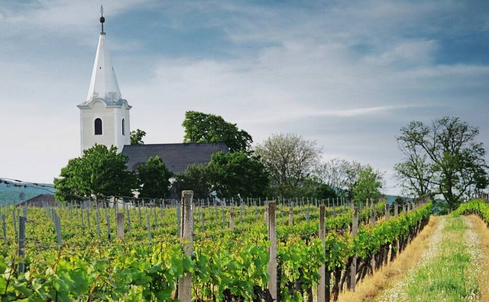 Vino austriaco. Foto: Austrian Wine