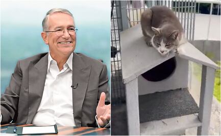 Ricardo Salinas presenta al michi que cuida de TV Azteca