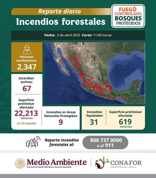 Conafor reporta 67 incendios forestales activos en México. Foto: Especial