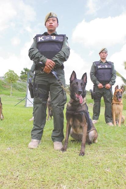 Fuerza canina: olfato contra el crimen