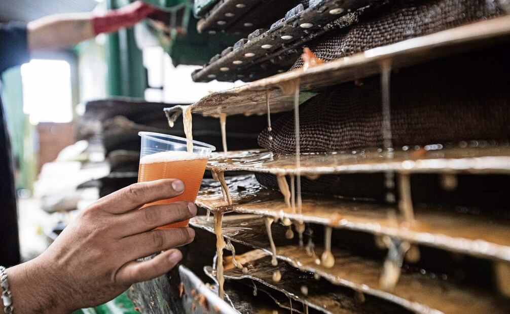 Manuel y sus trabajadores llenan de cuatro en cuatro las botellas con el líquido fermentado del año pasado. Se estima que la producción de 2025 sea de 6 mil litros de sidra. Foto: Gabriel Pano / EL UNIVERSAL