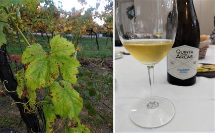 Portugal: mi pequeño gigante