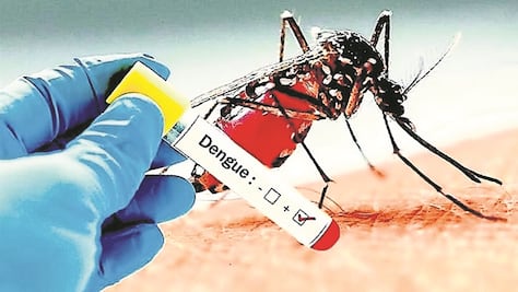 Jalisco registra en una semana 61 casos de dengue y acumula 390