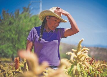No tienen IMSS 90% de trabajadoras agrícolas