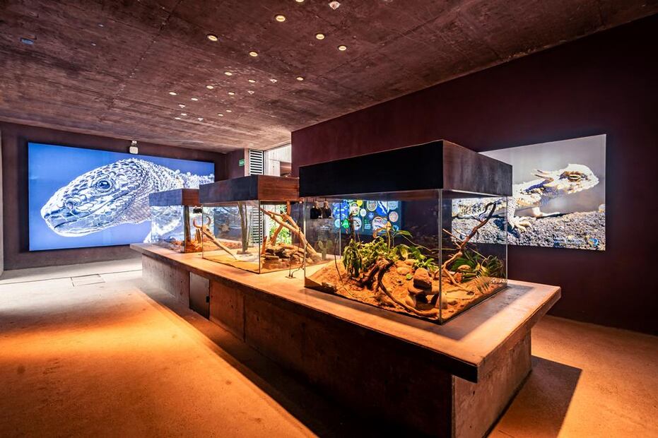 Foto: Gran Acuario Mazatlán Mar de Cortés