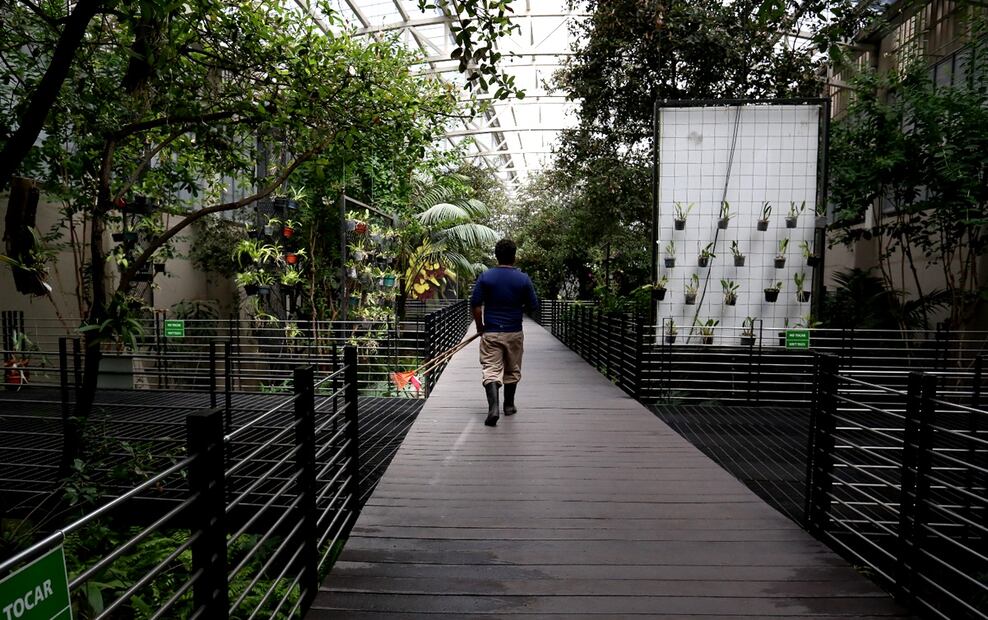 Imagen del Parque Bicentenario durante su reapertura en la Ciudad de México, el martes 1 de julio de 2025. Foto: Luis Camacho/EL UNIVERSAL