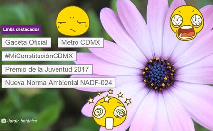 Gobierno de la Ciudad lanza concurso de emojis inspirados en la CDMX