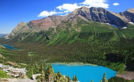 Alertan por la fragmentación de ecosistemas 