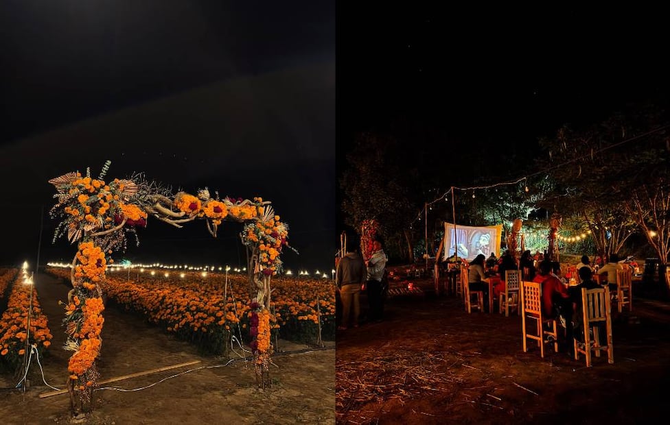 Fotos: Facebook Campo Iluminado San Antonino “Tierra de las Flores”