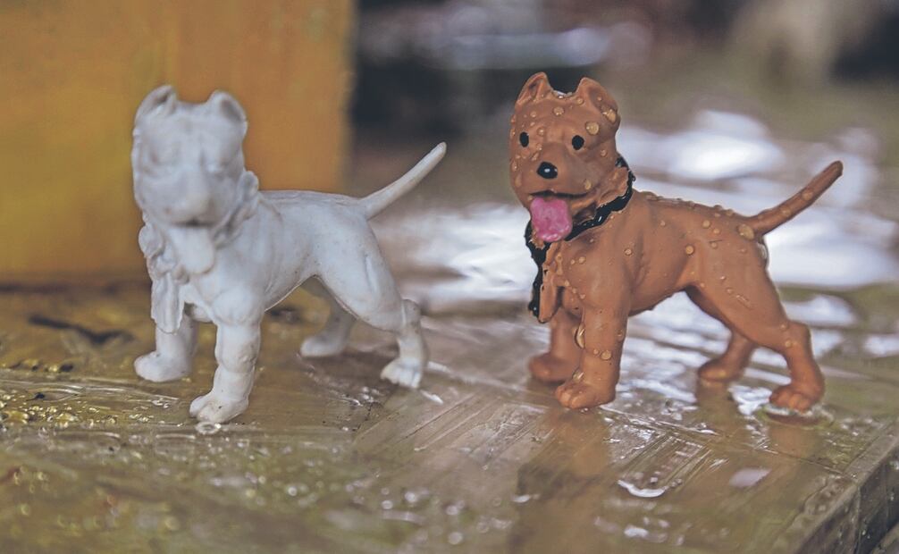 La artista coloca 600 perritos en su mesa, variedad de donde sus clientes escogen al que más se parezca a su mascota, para después darles el toque personal. Fotos: de Yaretzy M. Osnaya