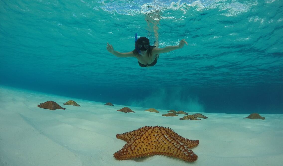 El Cielo, Cozumel Foto: CPTQ y Ayuntamiento de Cozumel