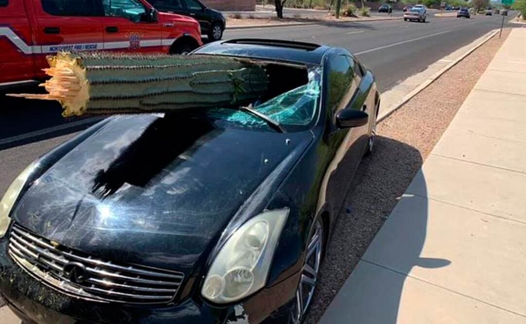 En esta imagen cortesía del Distrito de Bomberos Noroeste se ve el parabrisas de un auto perforado por un cactus saguaro durante un choque, a las afueras de Tucson, Arizona.  (Northwest Fire District via AP)