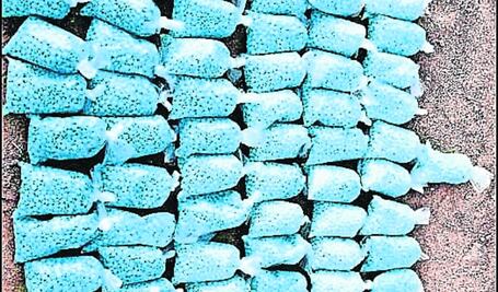 Los hermanos, en la mira de autoridades desde el año 2022