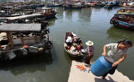 Ecosistema, gran derrotado en el conflicto por el Mar del Sur de China