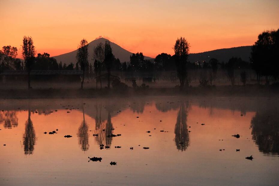 Foto: iStock