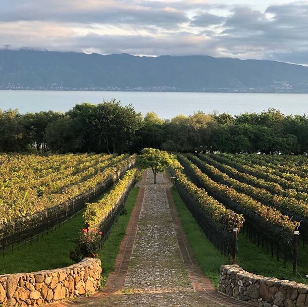 Foto: Finca La Estramancia