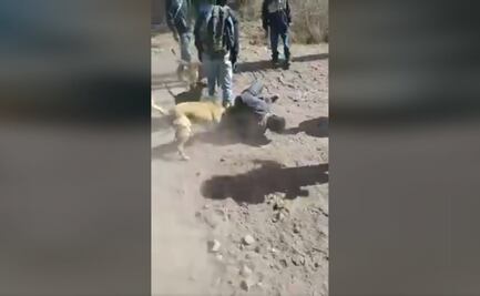 ¿Echaron a los perros a supuesto ladrón de caballos en Querétaro? Autoridades dicen que no fue linchamiento