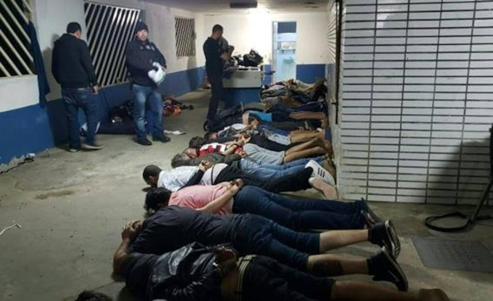 Policía de Brasil desmantela pelea internacional de perros pitbulls