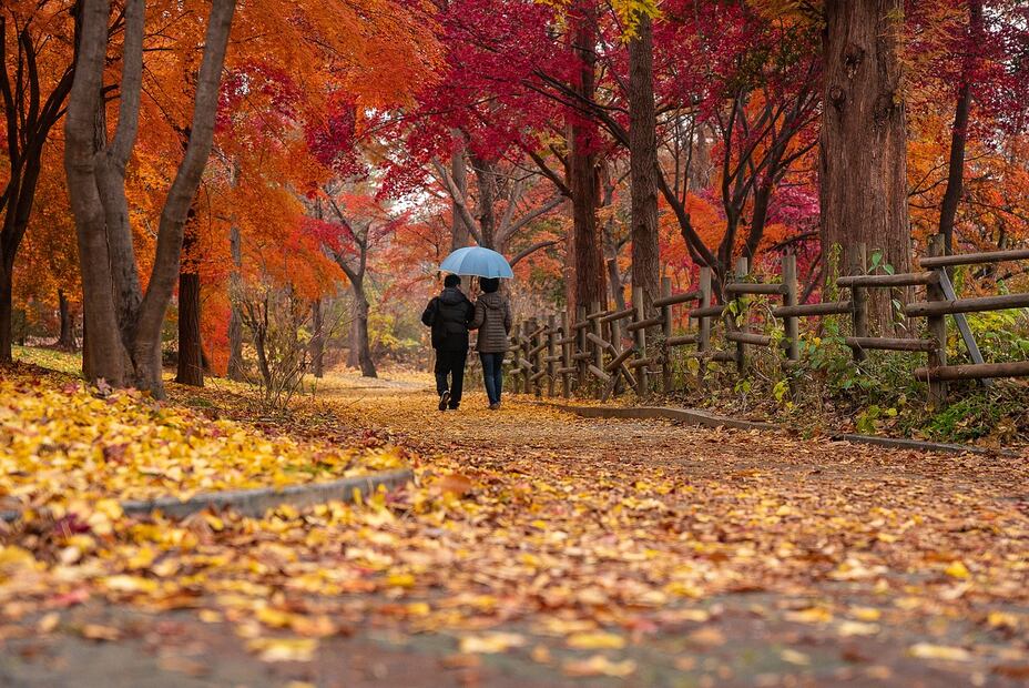 El equinoccio de otoño se distingue por el cambio de clima. Foto: Pixabay