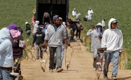 Se reúnen jornaleros de San Quintín con Miranda Nava