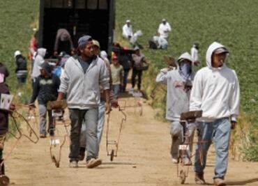 Se reúnen jornaleros de San Quintín con Miranda Nava