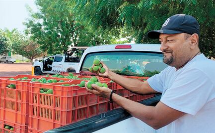 Limoneros regresan a la pisca, protegidos por operativo militar