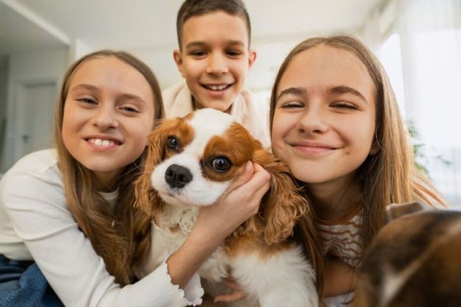 Demostrar amor a tu perro es entenderlo, respetarlo y brindarle una vida equilibrada y feliz. Fuente: Freepik.