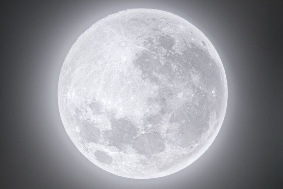 ¿Cómo influye la luna llena en los animales nocturnos? (Foto: DeDinero)