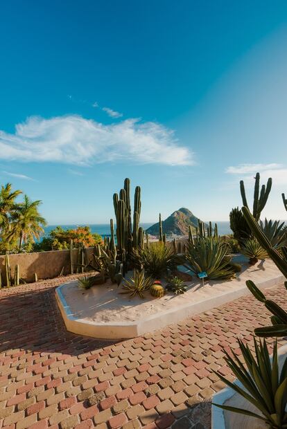 Vista al Cerro del Crestón desde el Observatorio Mazatlán 1873. Foto: Facebook "Observatorio Mazatlán 1873"