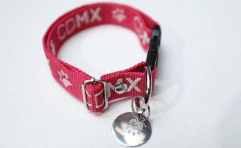 Gobierno de CDMX inicia programa de registro de mascotas