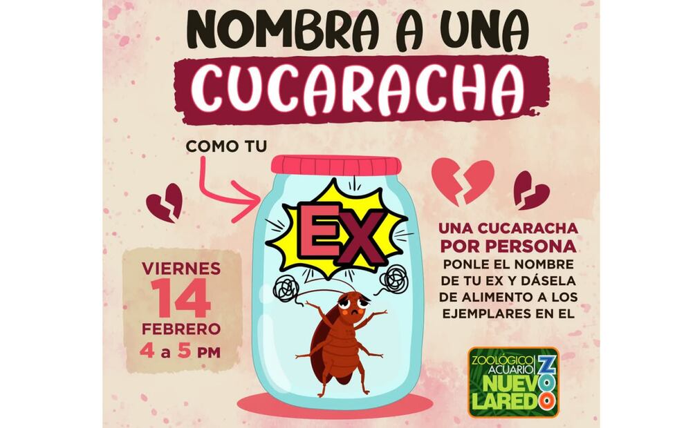 Convocatoria de programa "Cierra ciclos con el cucaracho o la cucaracha" en Tamaulipas (08/02/2025). Foto: Especial