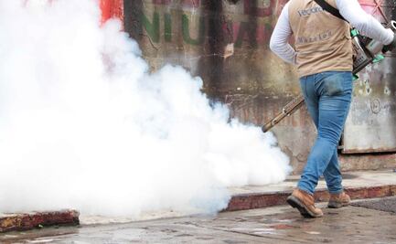 Morelos, segundo lugar nacional en casos y personas fallecidas por dengue