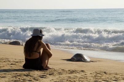 Temporada de tortugas marinas: lánzate al paraíso de Punta Ixtal