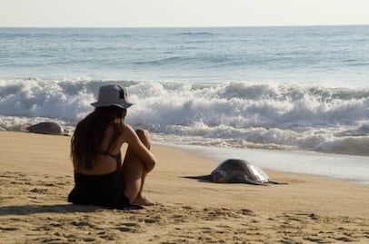 Temporada de tortugas marinas: lánzate al paraíso de Punta Ixtal
