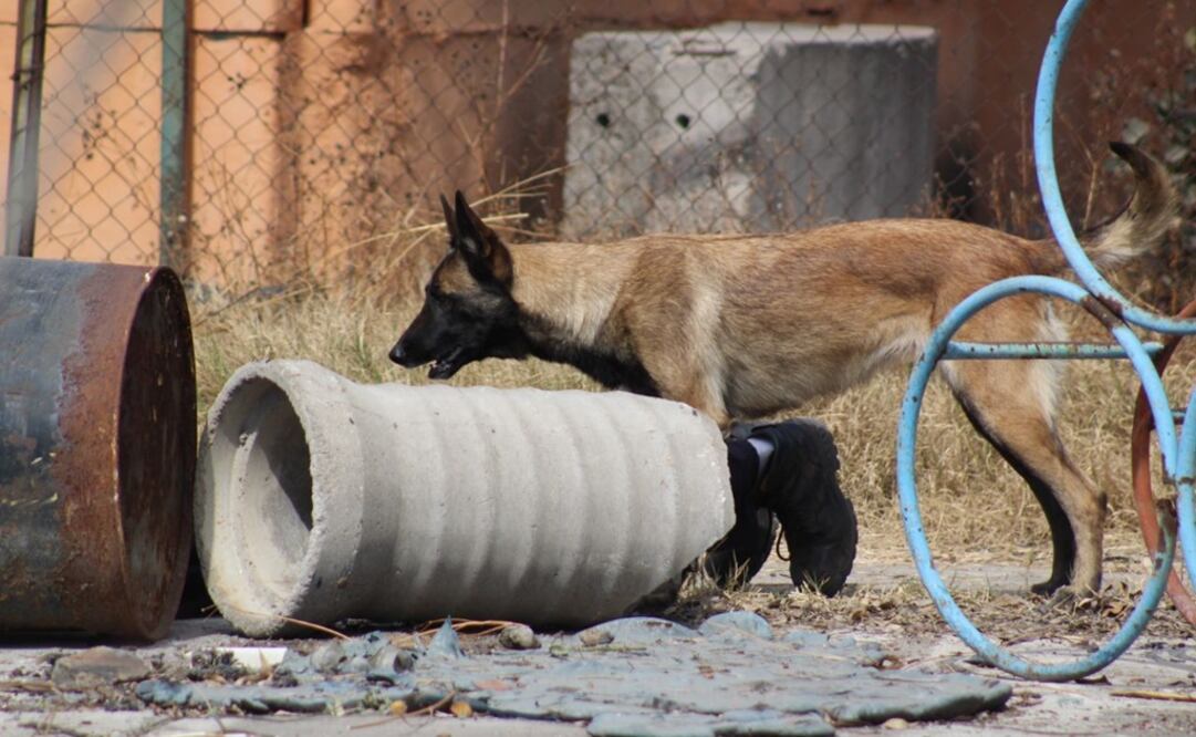 (Foto: delegación Iztapalapa)