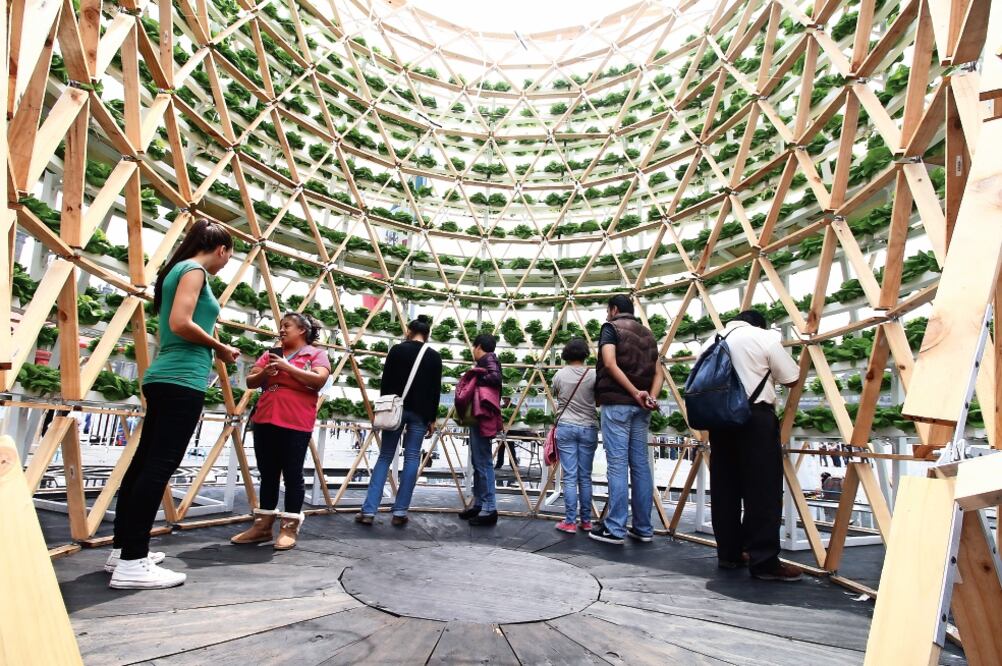 Después de la exposición se regalará a los asistentes plantas para iniciar cultivos en sus hogares 