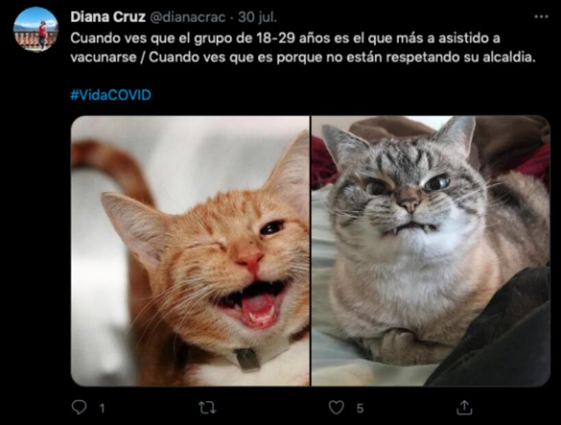 Vacunación para jóvenes, Paty Navidad y la consulta popular: las noticias de la semana en memes