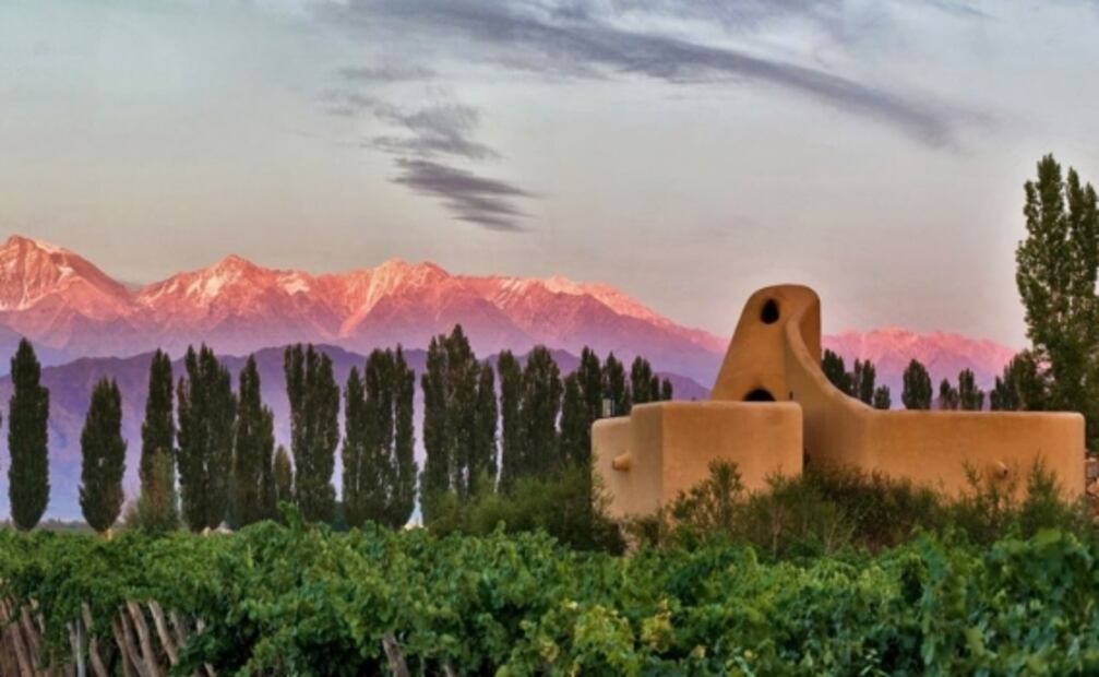 Ruta del vino en Argentina: los mejores paisajes y viñedos para visitar