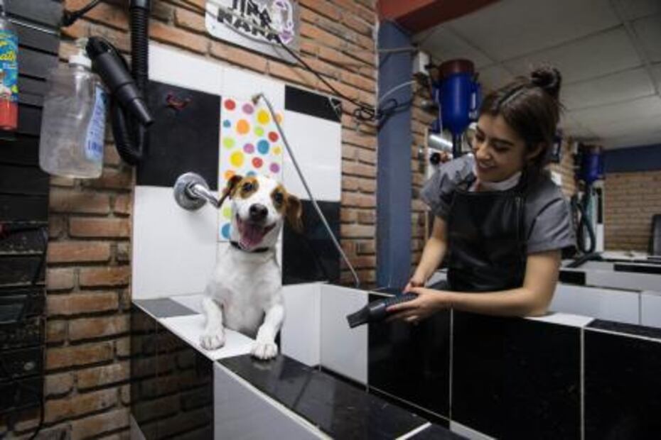 Conchas y cecina: paseo gastronomico por la Narvarte