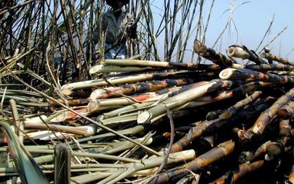 México y EU firman nuevo acuerdo azucarero