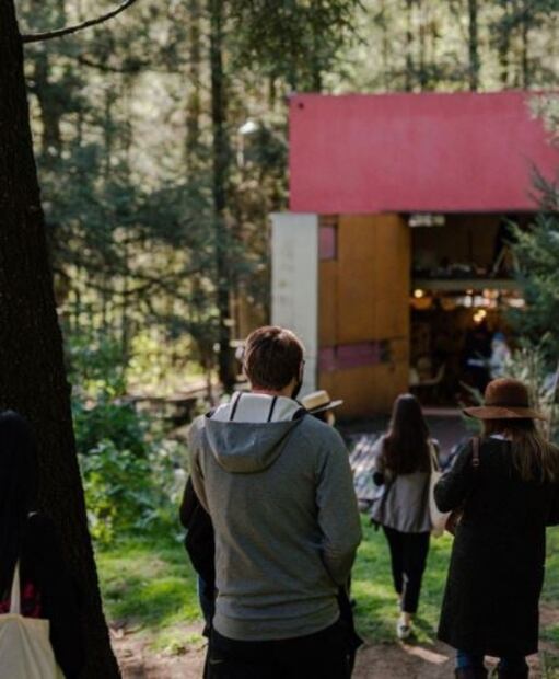 Cubo: experiencia inmersiva en un bosque del Estado de México