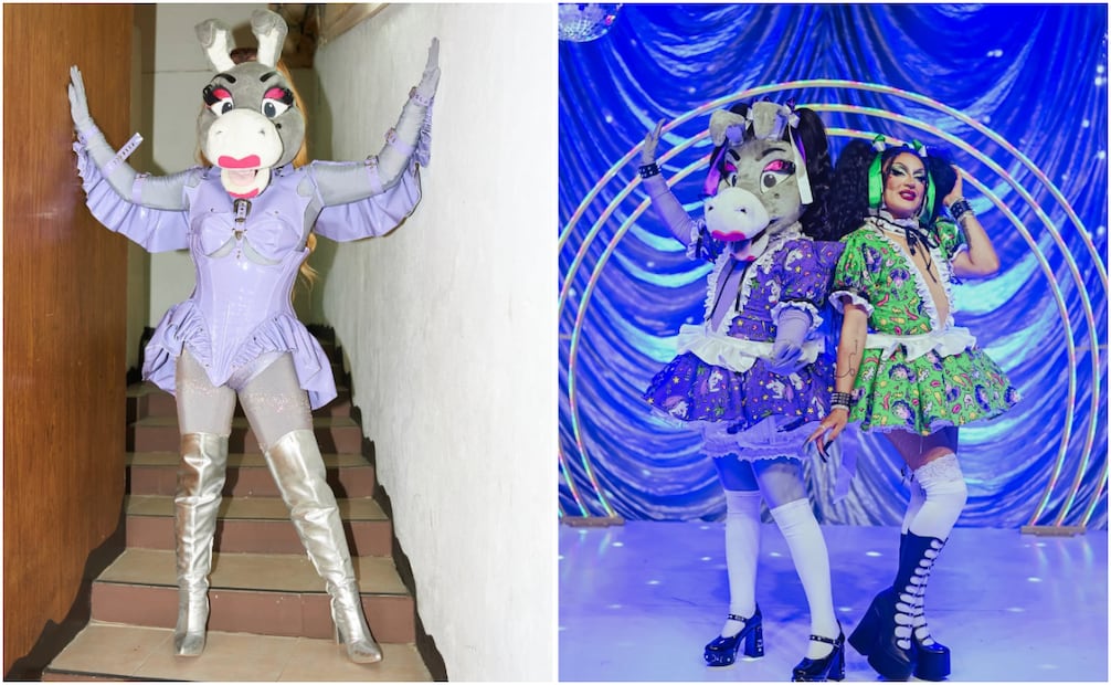 Burrita Burrona es conocida como la primera "mascotidrag" en la escena del espectáculo mexicano. Foto: Instagram