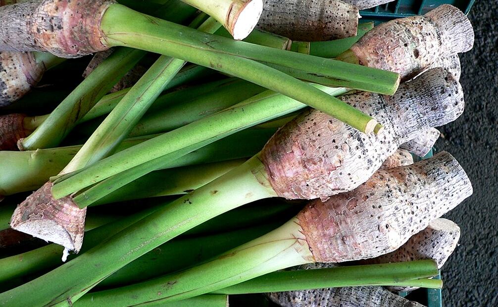 El taro puede prepararse en guisos salados o postres dulces. Foto: Freepik