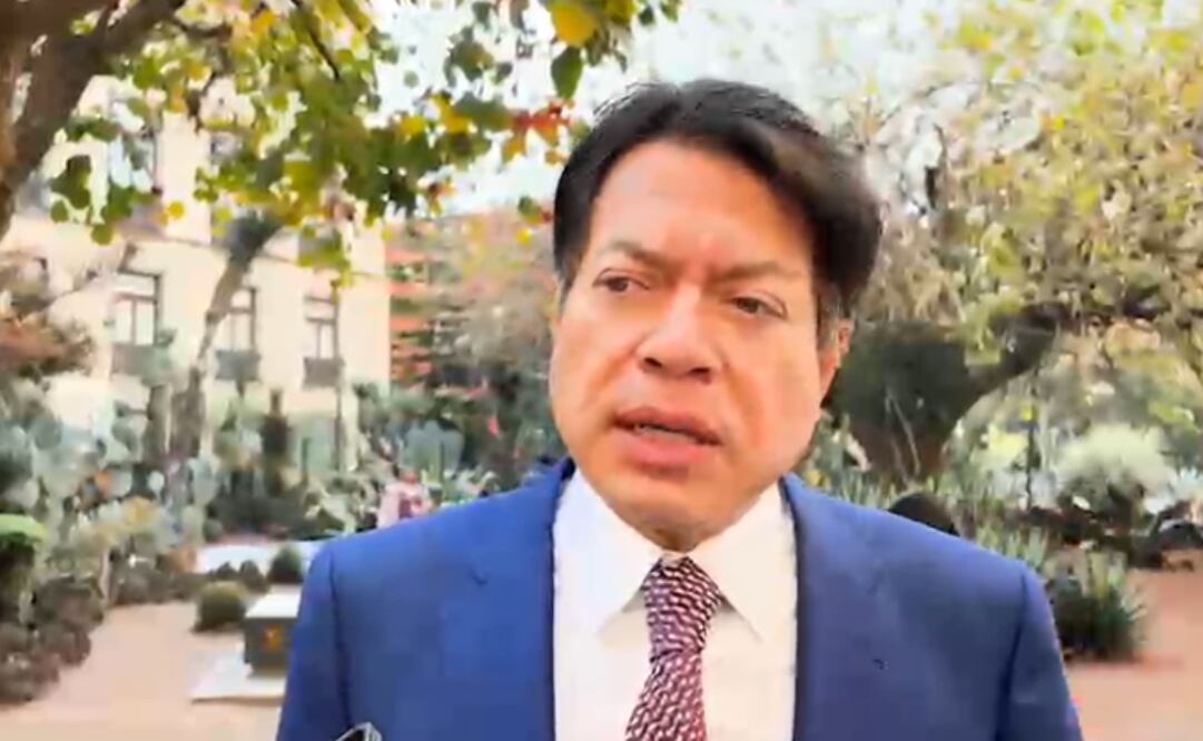 Mario Delgado, titular de la SEP. Foto: captura de pantalla