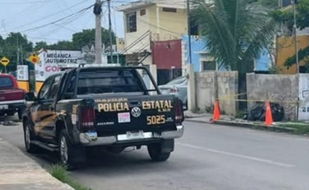 9 perritos envenenados en Yucatán en un nuevo acto de crueldad animal. 
Foto Especial