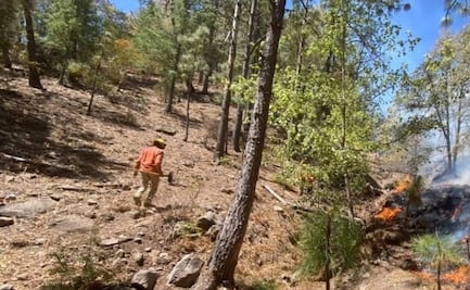 Se mantienen activos 4 incendios forestales en sierra de Sonora; brigadistas combaten las llamas